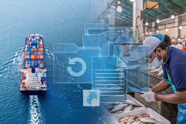 India Boosts Seafood Competitiveness with Traceability Systems