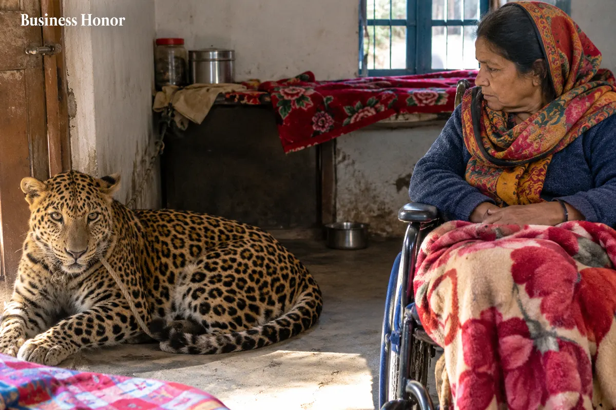  Physically Disabled Woman Keeps Leopard Trapped Inside Her Home in Uttarakhand 
