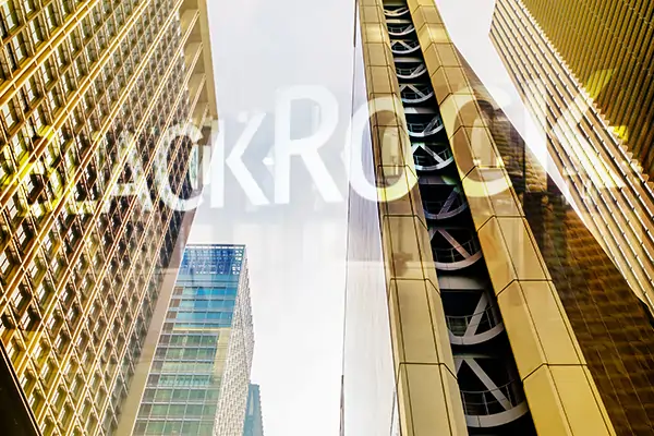 Business Honor - BlackRock Raises €1.2B for EFVI Fund
