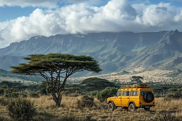 Business Honor - Luxury Tourism in Africa’s Hidden Costs