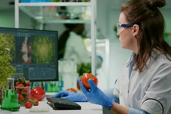 Business Honor - VAI & SMRTR Automate Food Docs