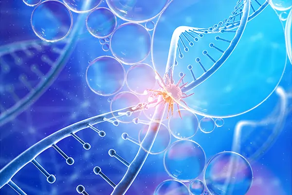 Business Honor - Flexible DNA Condensates Advance Biotech