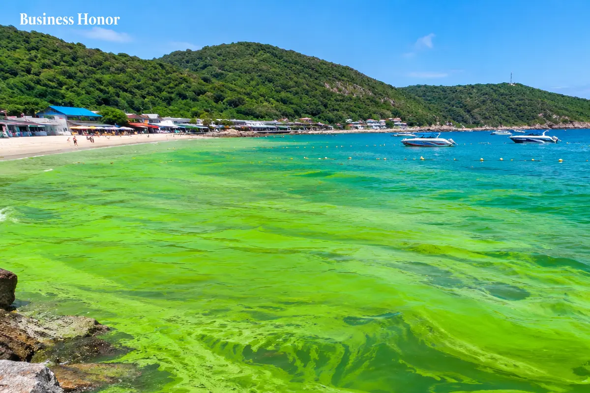 Plankton Bloom Turns Thailand&rsquo;s Ko Lan Waters Bright Green, Hits Tourism