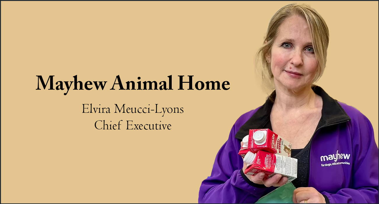 Mayhew Animal Home: Improving Lives through Animal Rescue, Welfare and Community Services